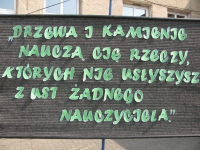 Zdj�?cie 01