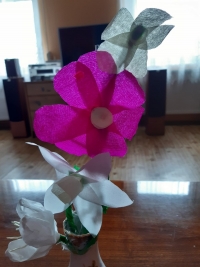 009